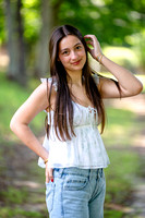 file (20 of 233)
